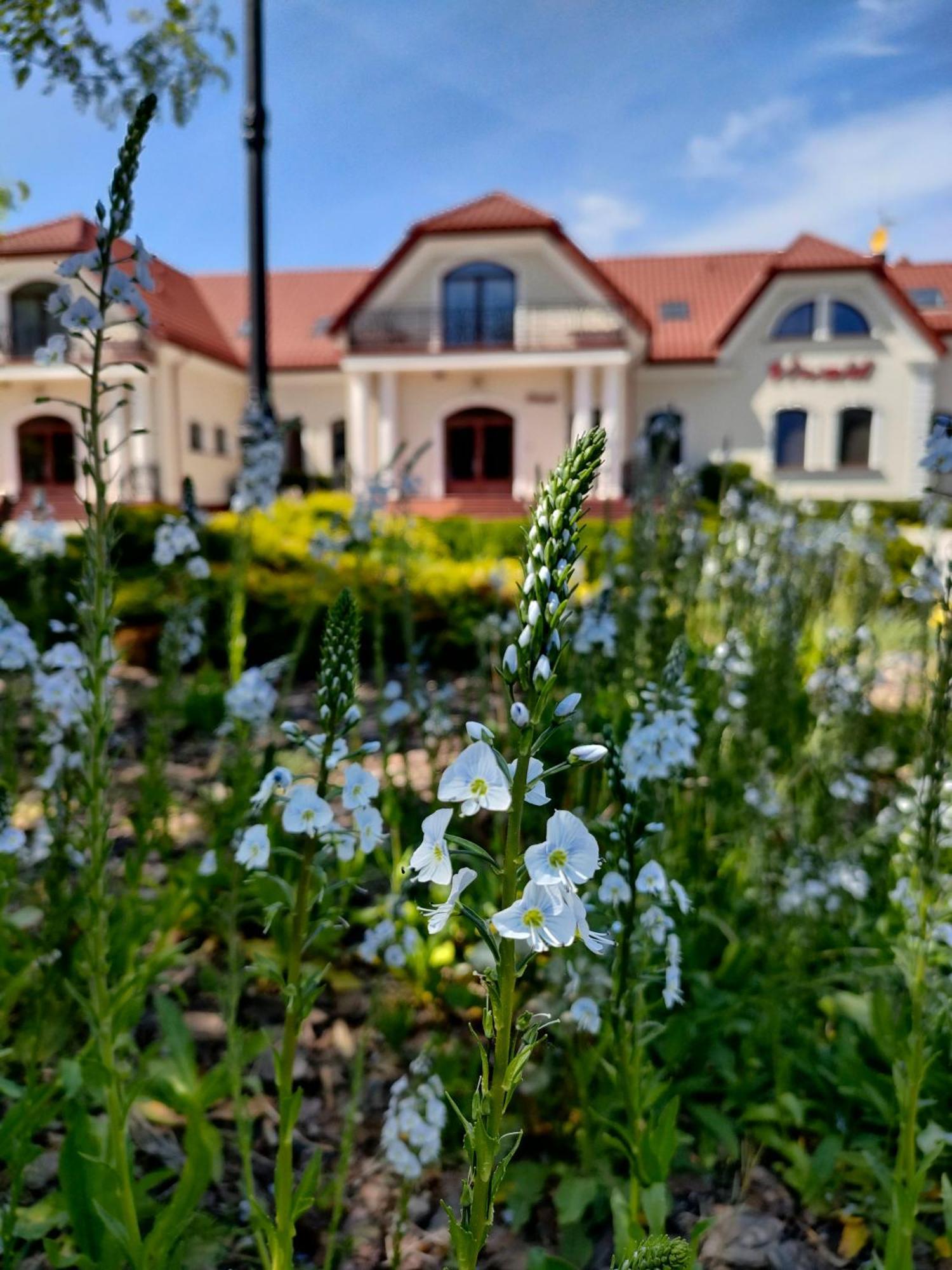 Hotel Viwaldi Baruchowo Exteriér fotografie